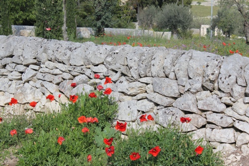 Stone walls in Sicily